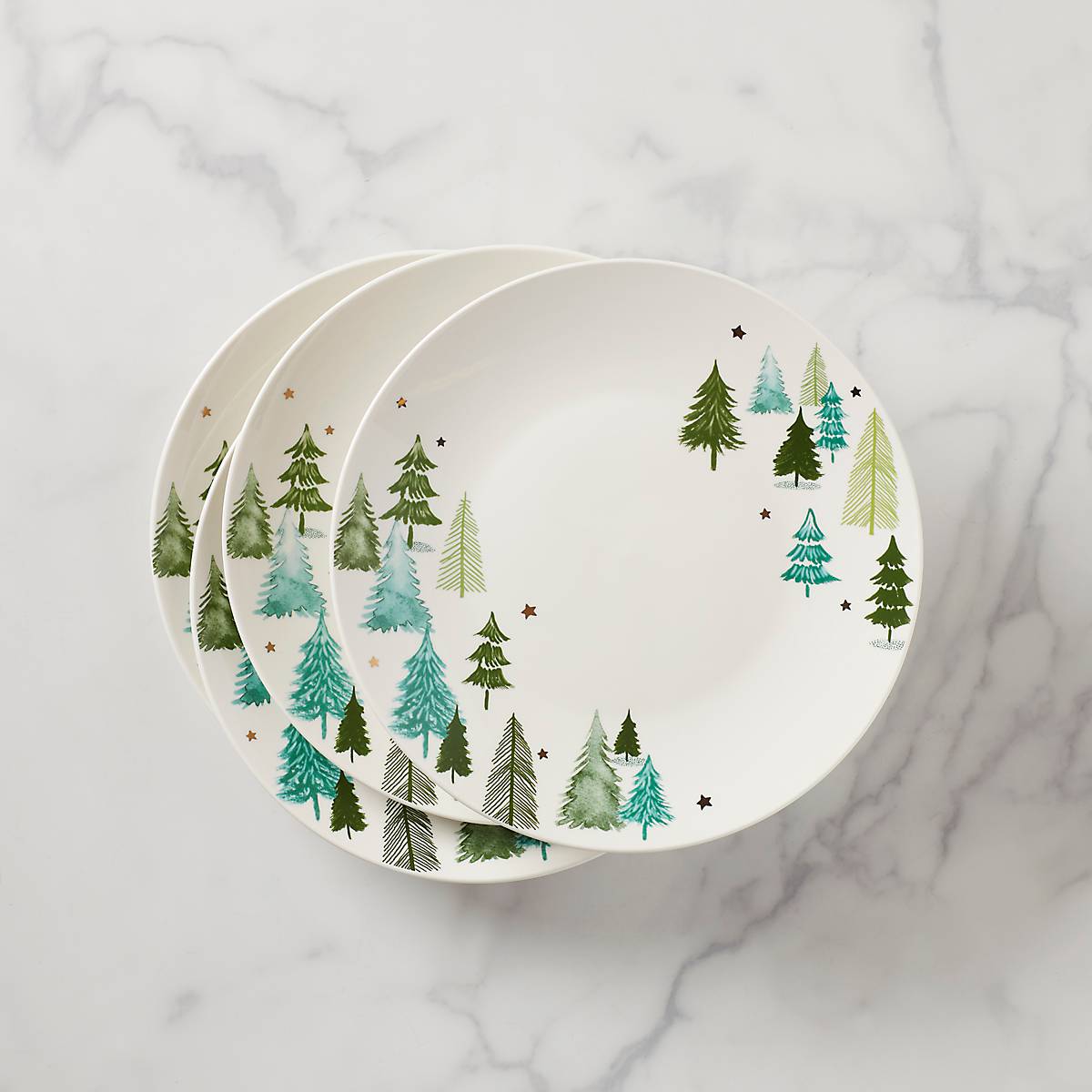 Balsam Lane Dinner Plates - Set of 4 - Image 4